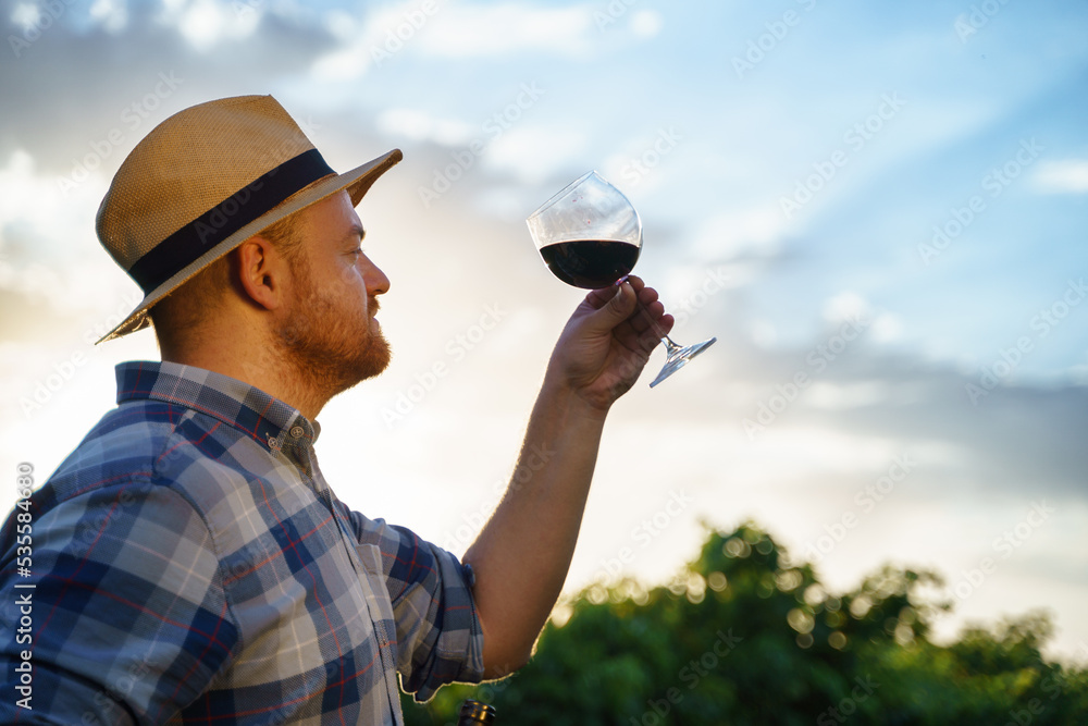 一位快乐而成功的酿酒师检查倒入玻璃杯的红酒质量的照片