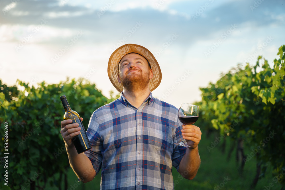 快乐的年轻农民在葡萄地里拿着酒瓶和玻璃杯仰望天空