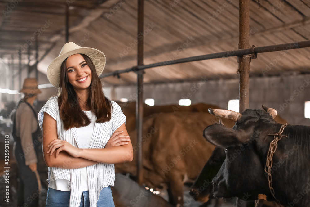 牛棚里年轻女农民的画像