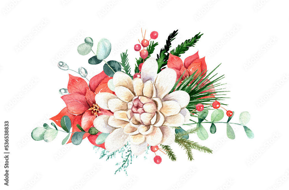 白色背景上的水彩圣诞花卉构图。植物布置设计。胡里