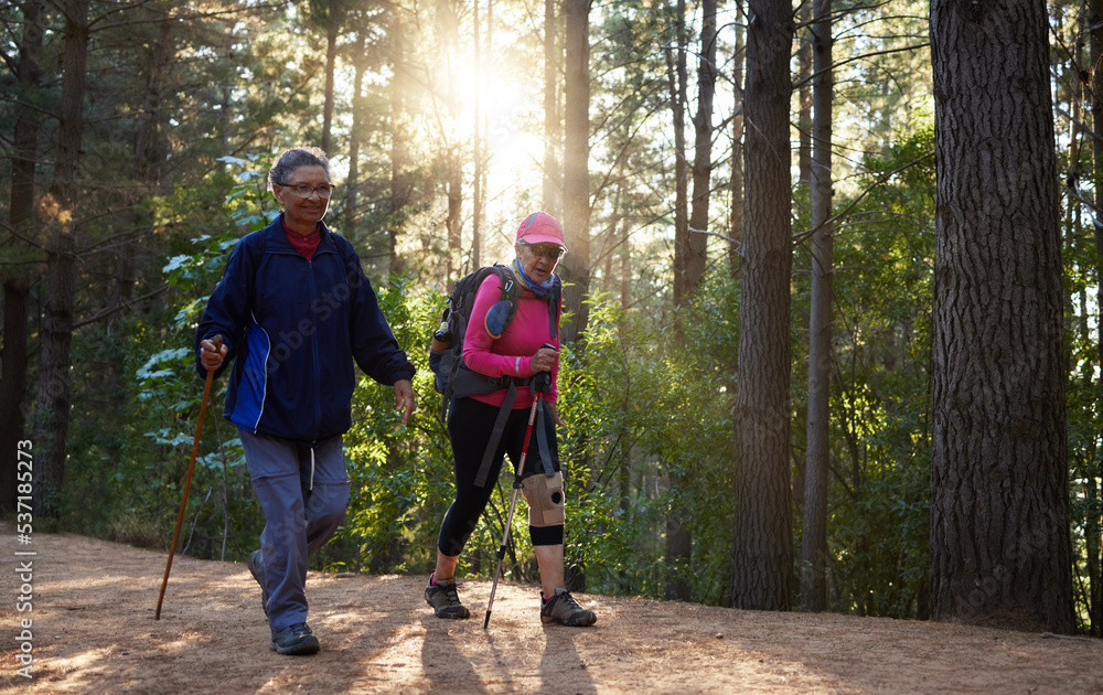 森林、健身和老夫妇带着背包在山上徒步旅行