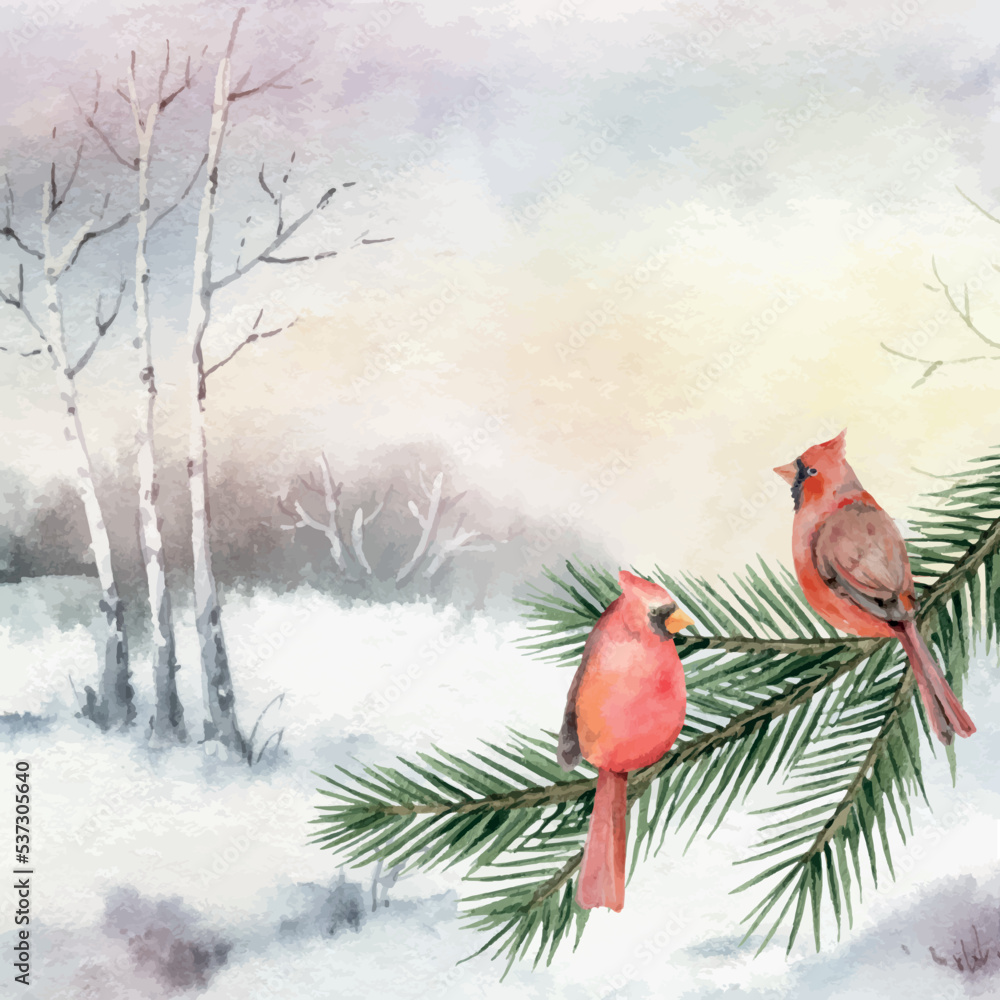 水彩矢量明信片，上面有冬天的风景和基数鸟。