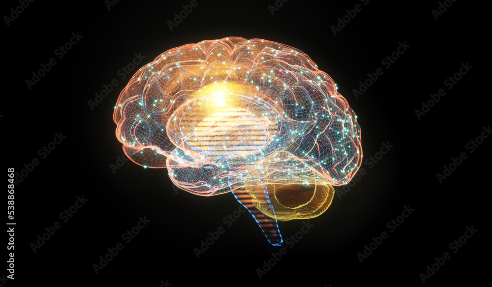 3d illustration of wireframe digital human brain on black background. Intelligence, Brainstorm and N