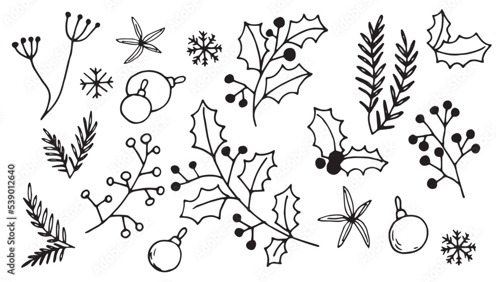 涂鸦风格的矢量画。一套圣诞植物。冬青树、云杉树枝、冬季浆果