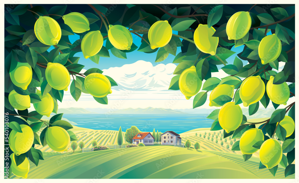 乡村风景，前景是柠檬树枝，背景是一个村庄。矢量i