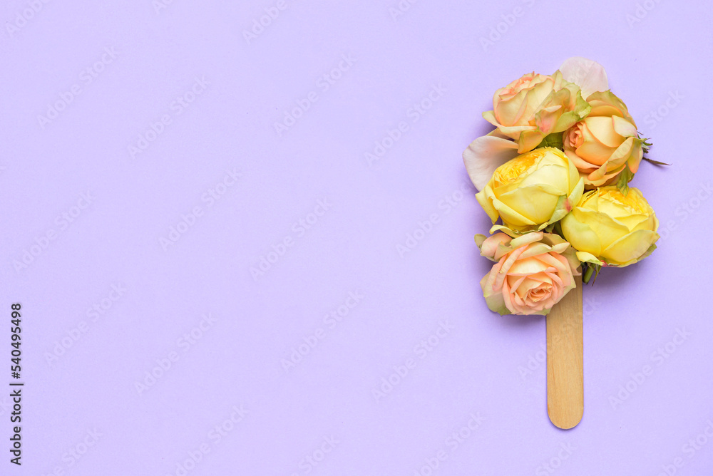 Rose flowers and ice cream stick on color background