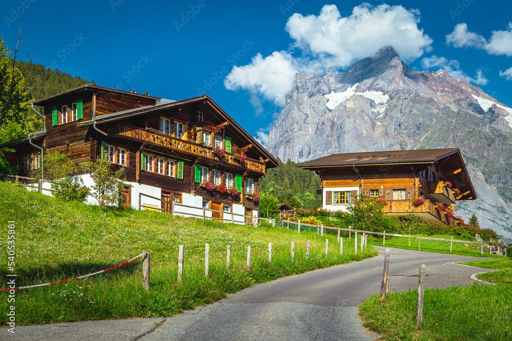 瑞士格林德瓦尔德风景如画的木屋和花园