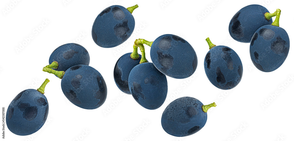 白底分离的深蓝色葡萄