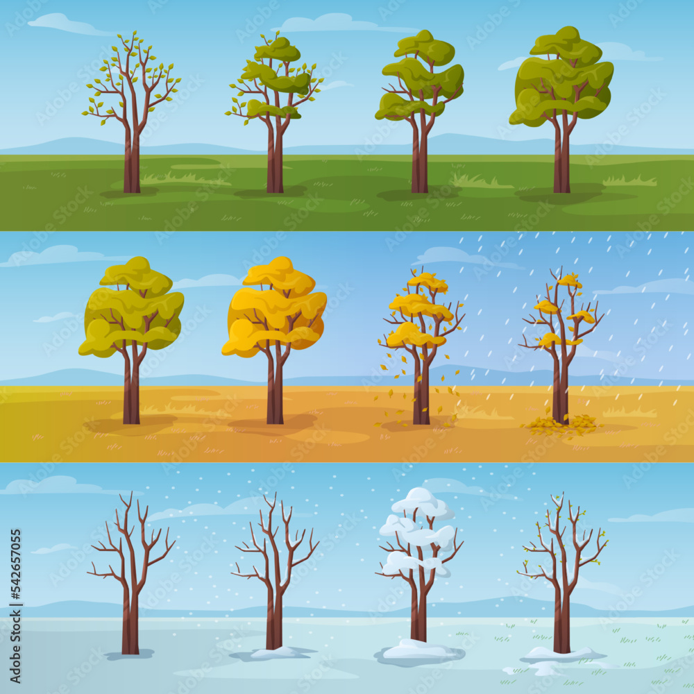 一年中不同季节的树，卡通布景。春天和夏天，秋天落叶