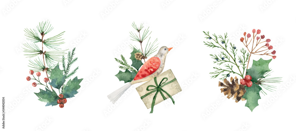 一组水彩矢量花束，带有冷杉枝、鸟、冬青树和礼物。