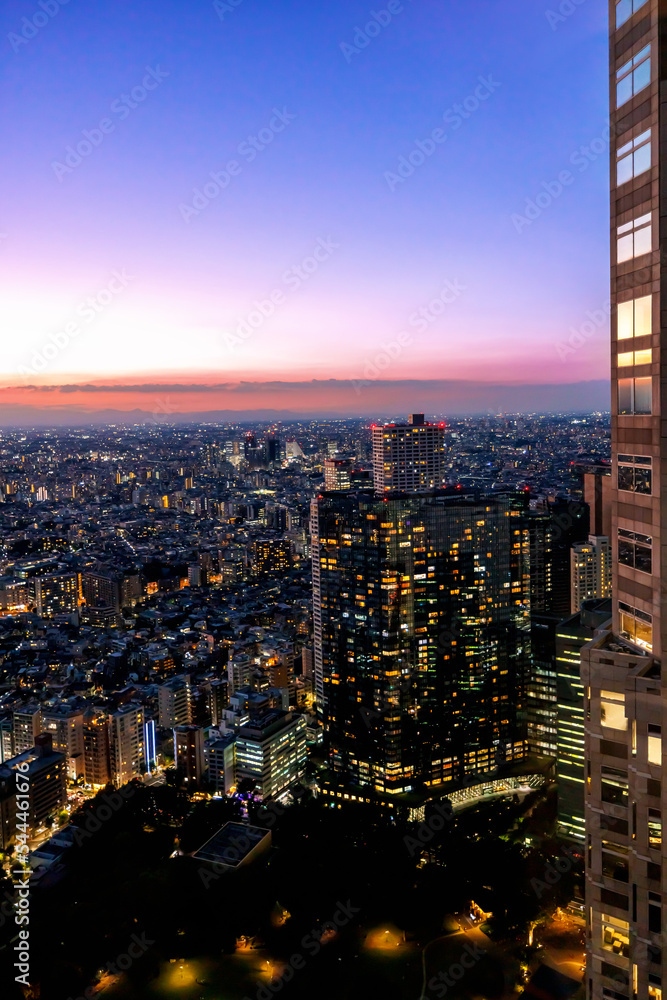 日落时，摩天大楼耸立在日本东京西新宿的城市景观上
