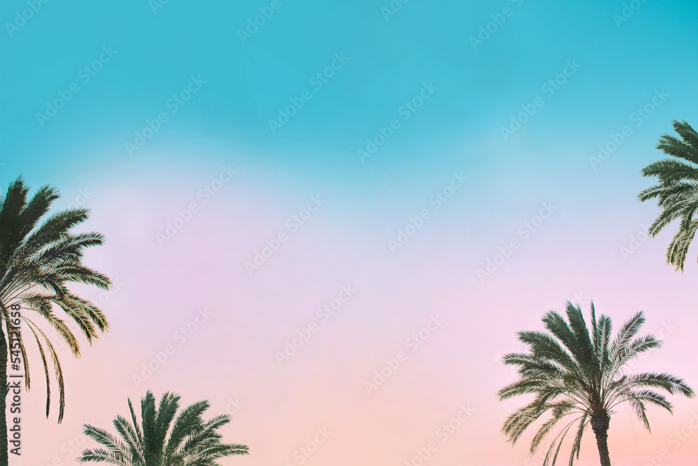 柔和的蓝色和粉色日落天空上的棕榈树，有文字空间。旅行和热带度假