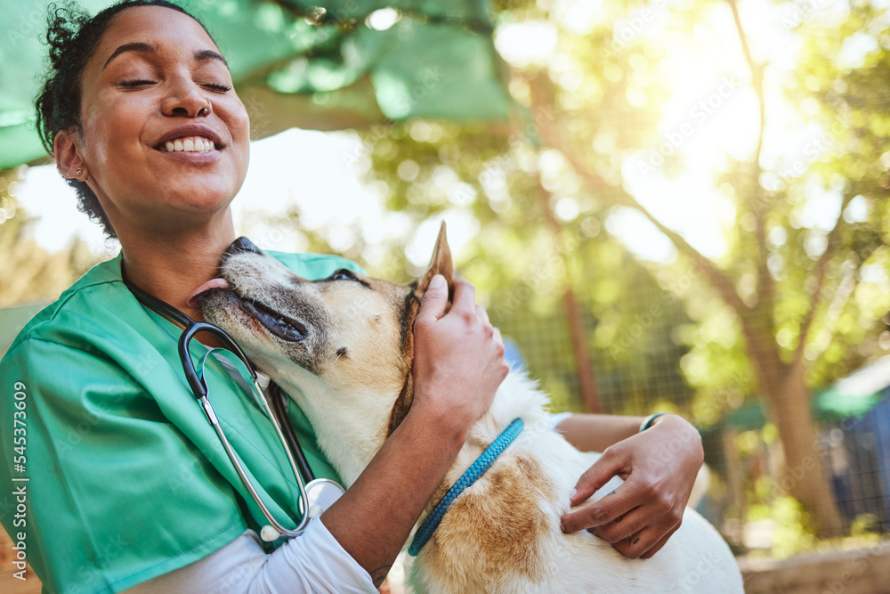 兽医，快乐，带着狗在大自然中为家做医疗保健检查和慈善工作