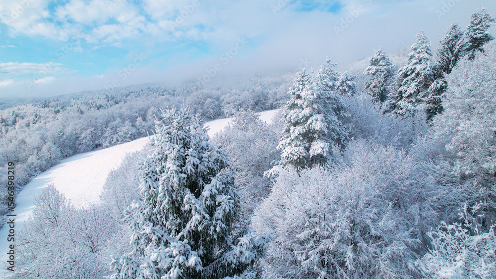 空中飞雪：新下的雪覆盖了山坡上的森林地区和草地