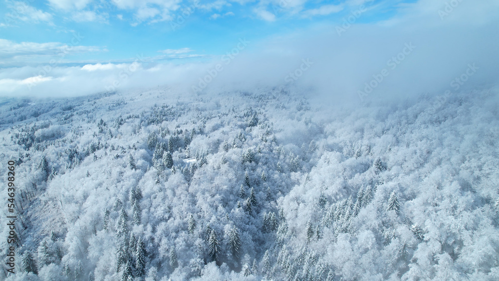 航空航天：初雪后，冬季雾霾穿过丘陵景观和森林