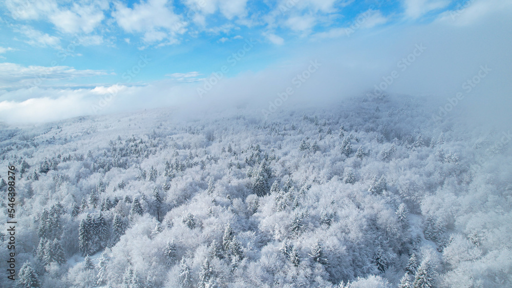新的降雪后，冬季薄雾笼罩着丘陵景观和森林