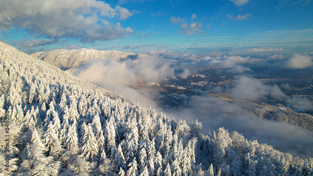 航空航天：新下的雪后的高山云杉林、山脉和山谷