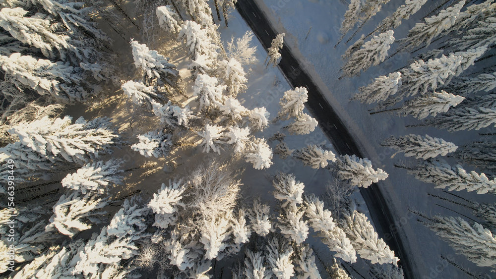 空中自上而下：沥青路蜿蜒穿过神奇的白雪覆盖的冬季森林