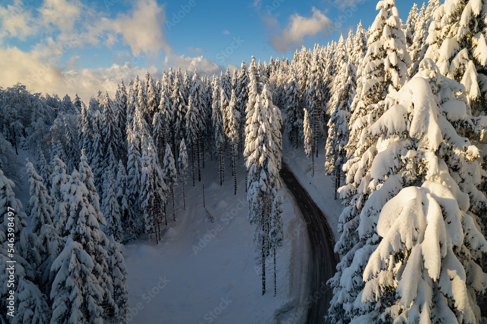 空中表演：令人惊叹的冬季童话故事，山路沿着雪地森林前行