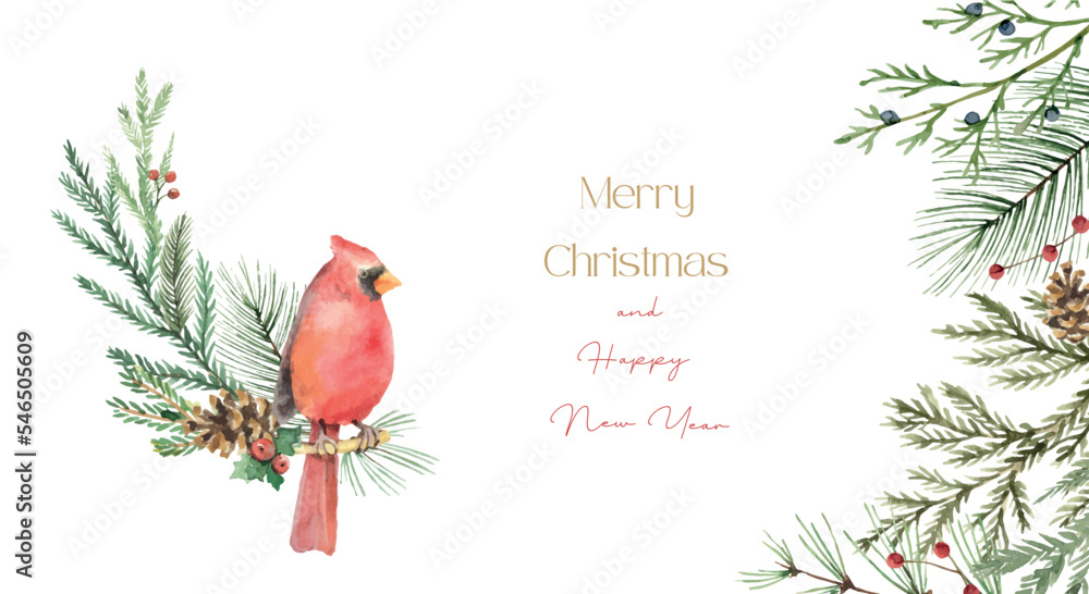 水彩矢量圣诞卡，上面有红雀、冷杉树枝和文字。