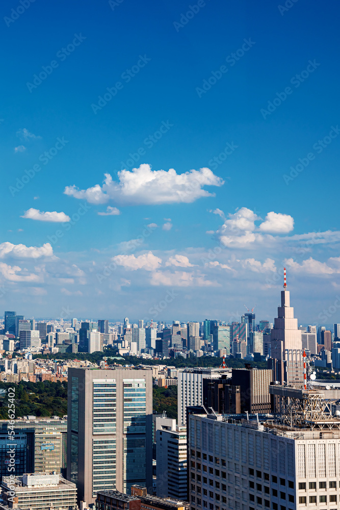 摩天大楼耸立在日本东京西新宿的城市景观之上
