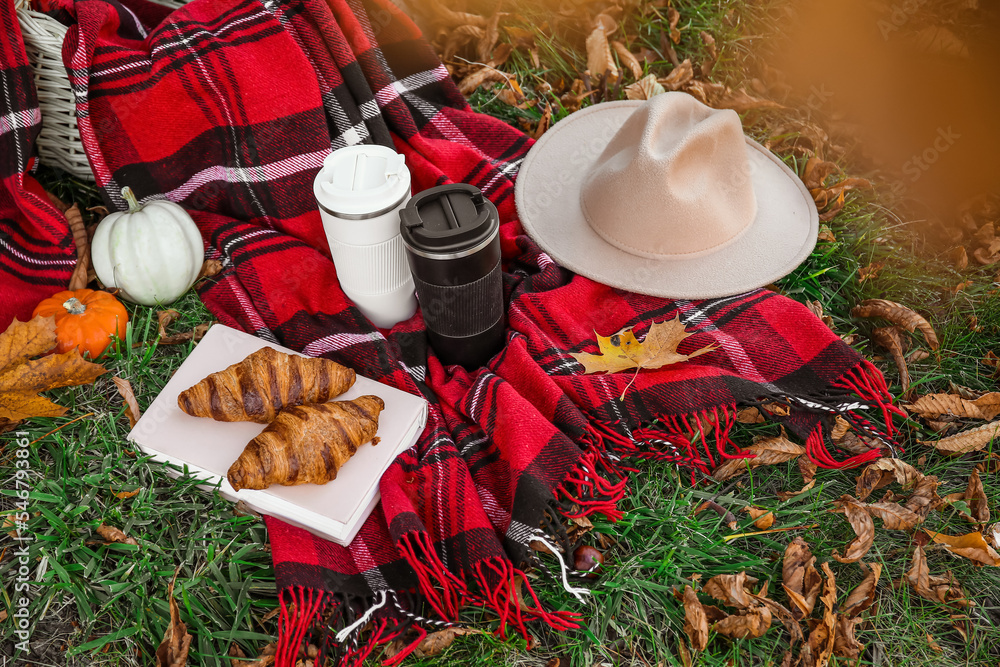 带着羊角面包、咖啡杯、帽子和秋天的南瓜在公园的格子上预订