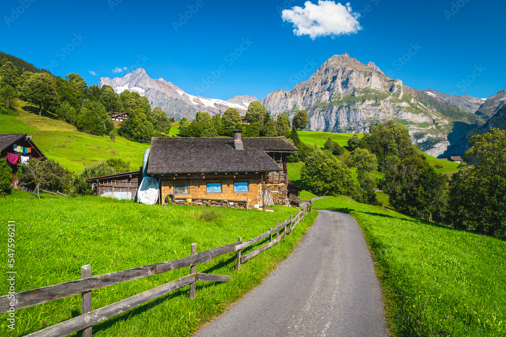 狭窄的山路和绿地上的小房子
