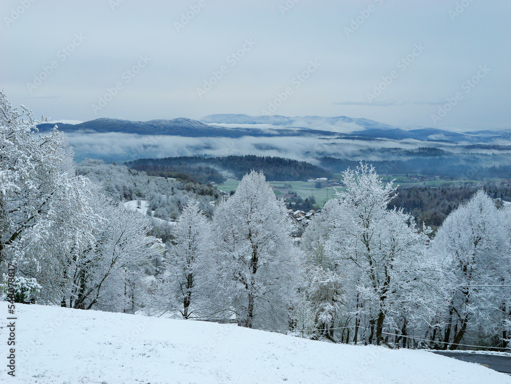 绿色山谷的美景，山顶上覆盖着新鲜的雪
