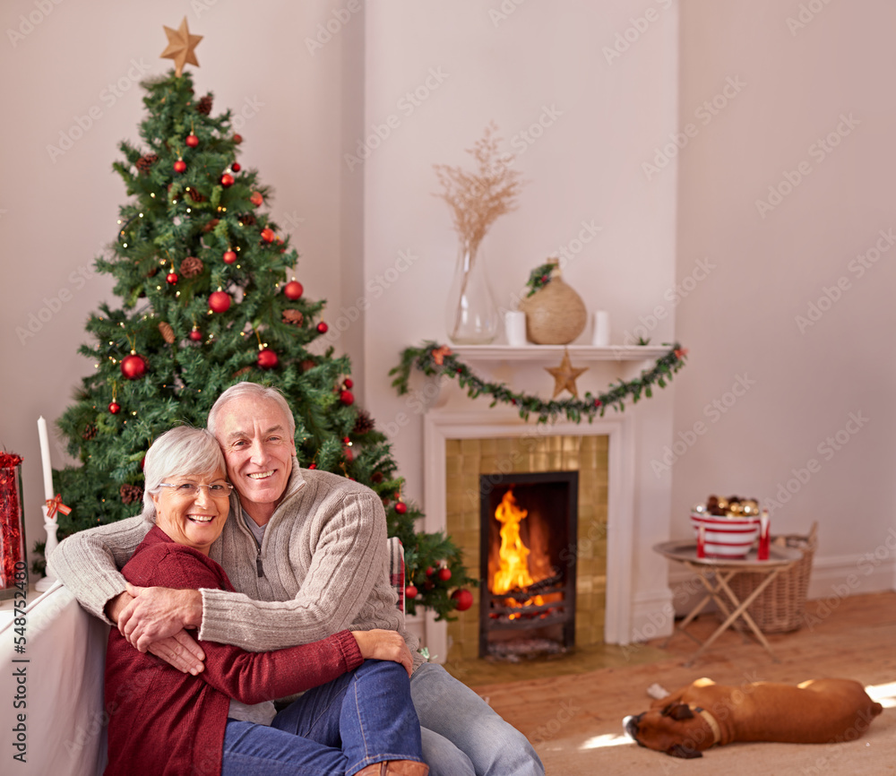 亲爱的，坐在沙发上的老年夫妇，圣诞节在客厅里，狗在壁炉旁。放松，肖像