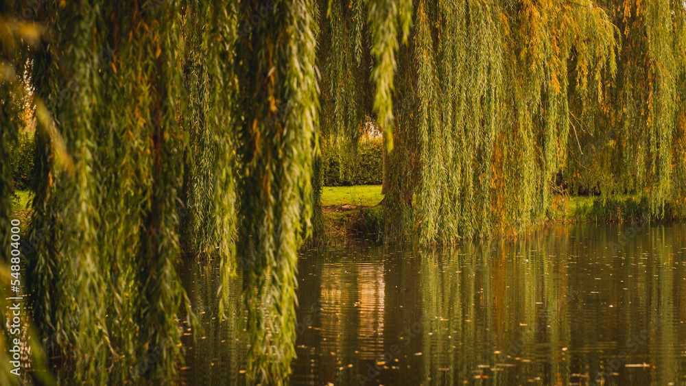 秋天在格但斯克的奥尔尼亚公园。可以看到池塘和五颜六色的树木。