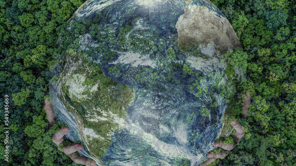 鸟瞰绿色森林与地球，绿色星球在你手中，拯救地球，森林纹理v
