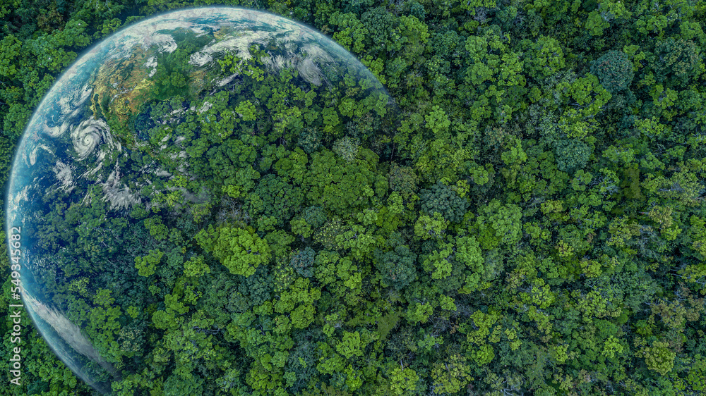 鸟瞰绿色森林与地球，绿色星球在你手中，拯救地球，森林纹理v