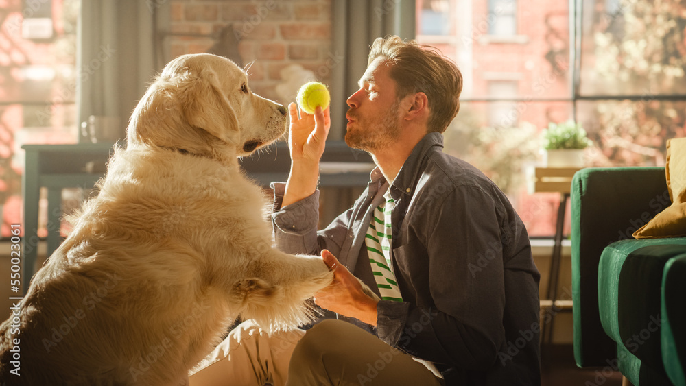 Young Adult Man Having Fun and Playing with His Golden Retriever Pet on a Living Room Floor. Handsom