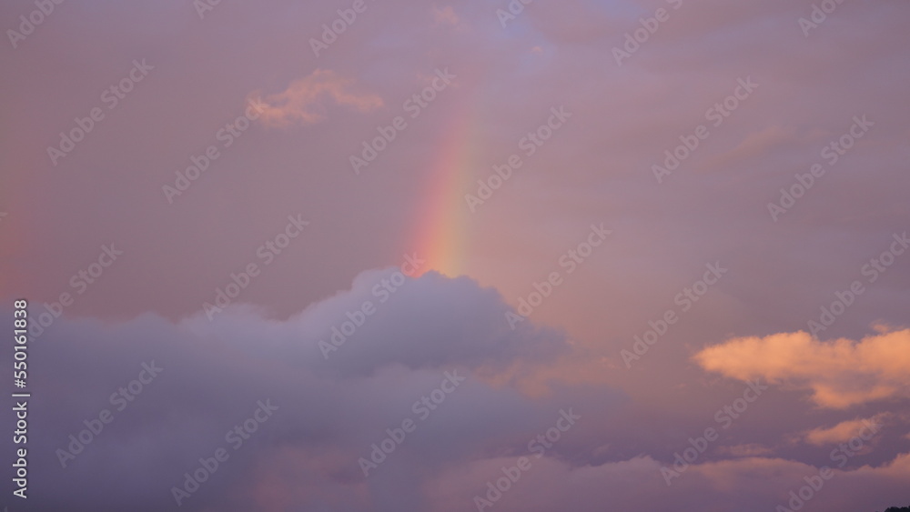 夏日雨后，天空升起五彩彩虹