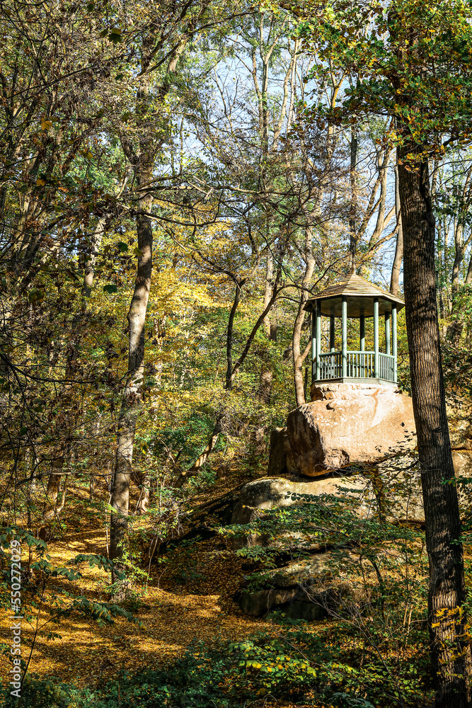 View of beautiful gazebo in autumn forest