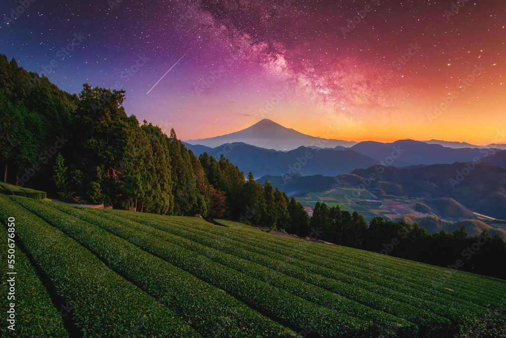 银河系景观。富士山在绿茶地上，秋天的树叶和银河系在