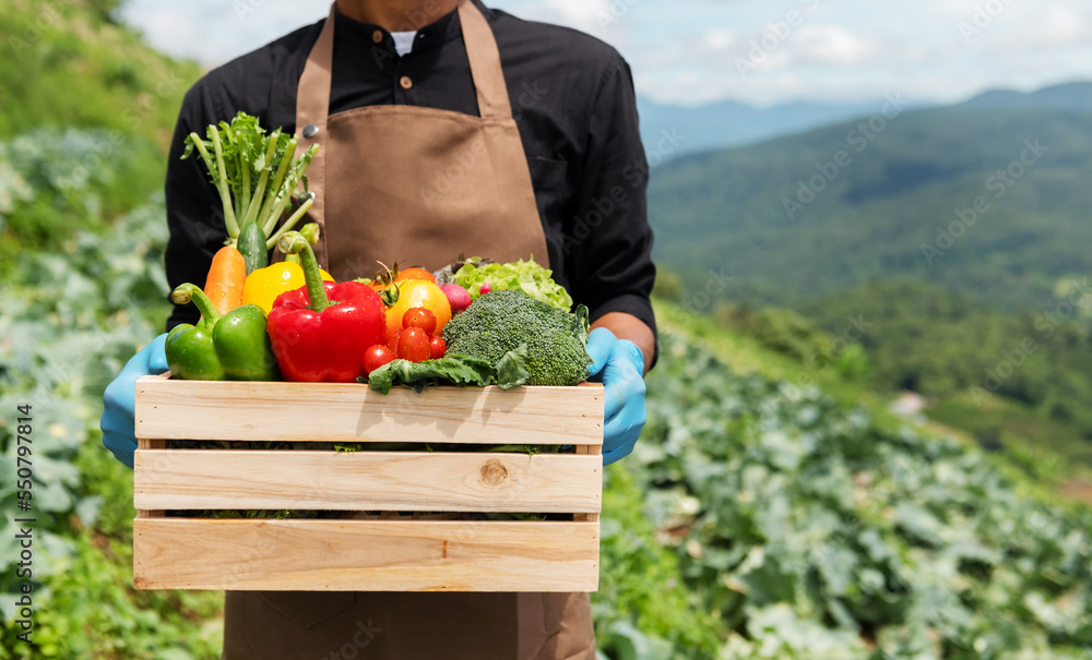 农夫拿着装满新鲜生蔬菜的木箱。篮子里装着新鲜有机蔬菜和