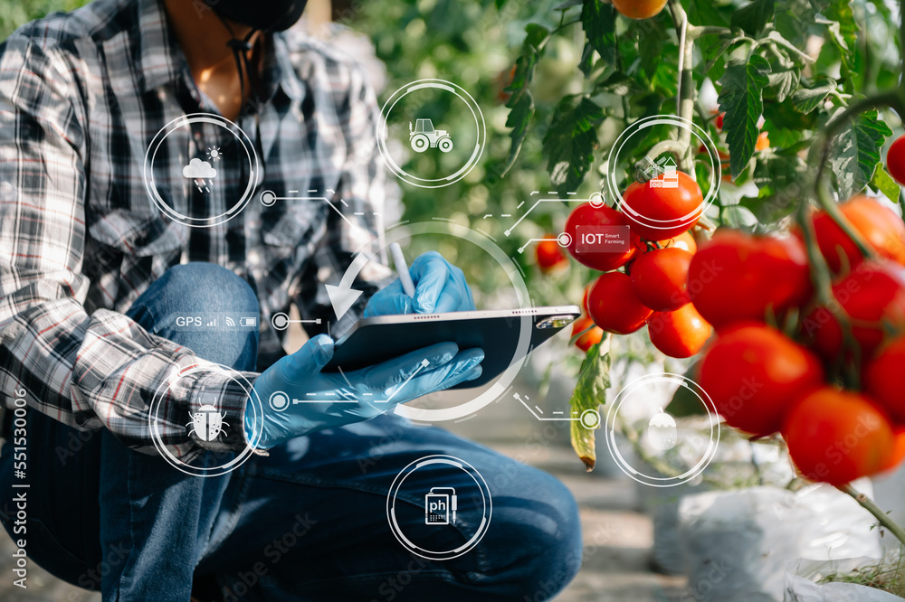 Smart farmer using application by tablet concepts  vegetables and tomato at greenhouse. and visual i