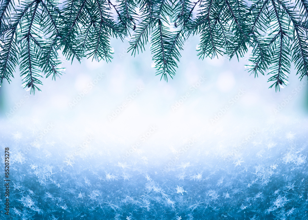 冬天的圣诞节背景是雪冷杉树枝和冰冻的雪花堆。冬天的霍尔