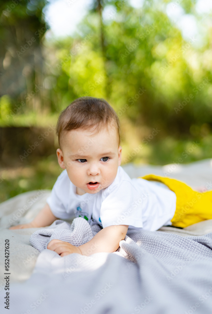 可爱的男婴在绿草中的毯子上玩耍。孩子们的户外乐趣。