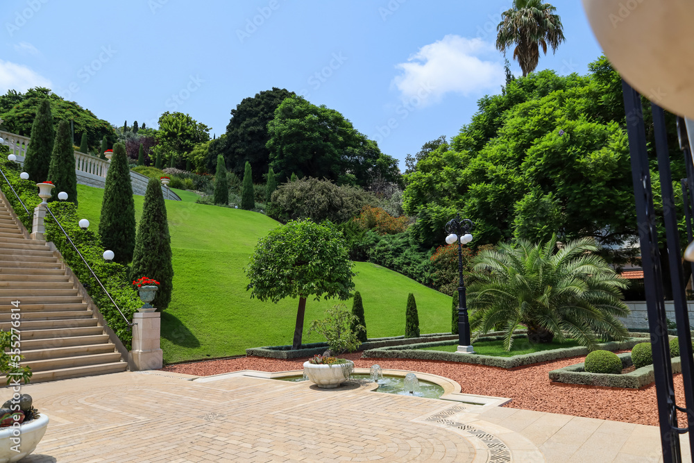 View of beautiful park with fountain and green plants on sunny day