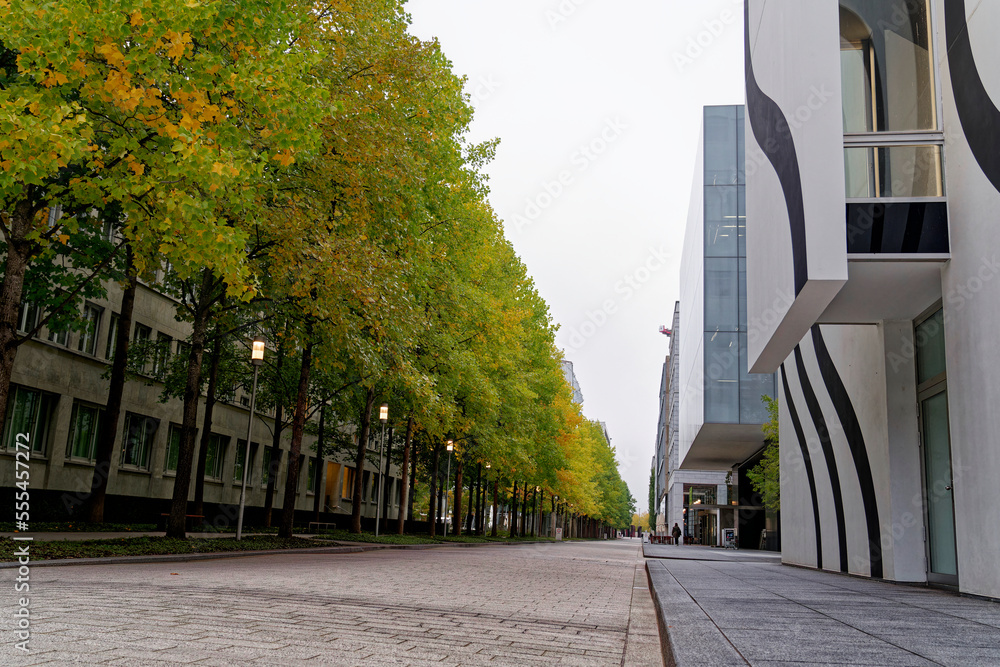 Beautiful tree alley at Swiss Novartis Campus at City of Basel on a cloudy autumn morning. Photo tak