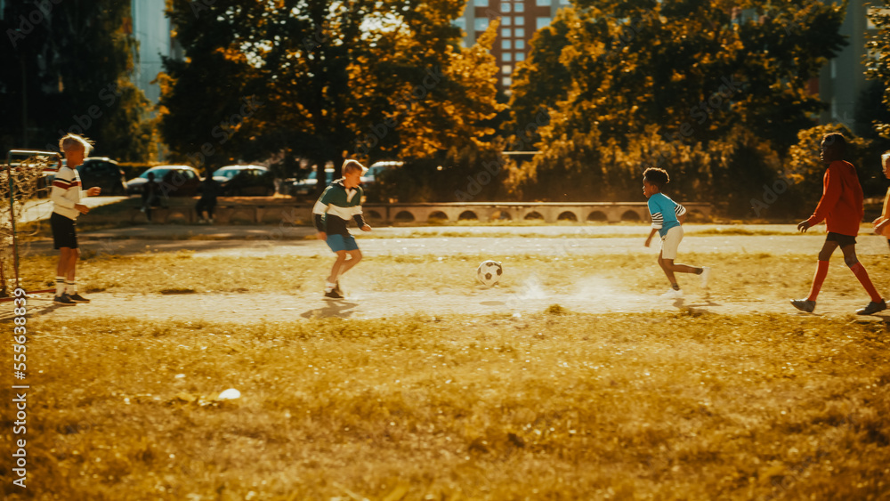 快乐的多元文化朋友在夏天阳光明媚的日子在后院踢足球。干杯