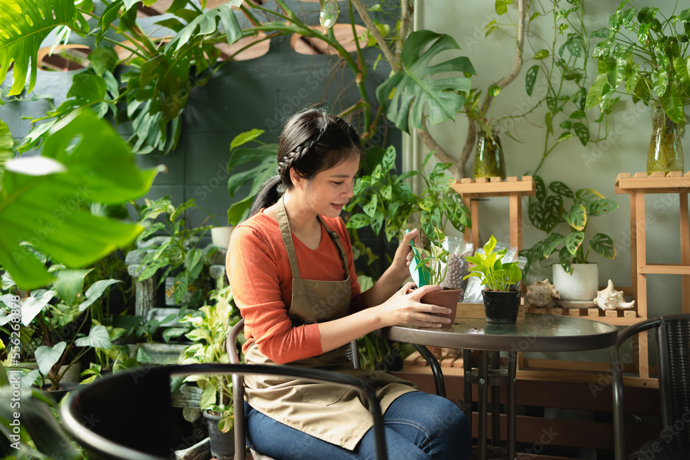 微笑的亚洲年轻女性园丁在室内植物中工作的肖像