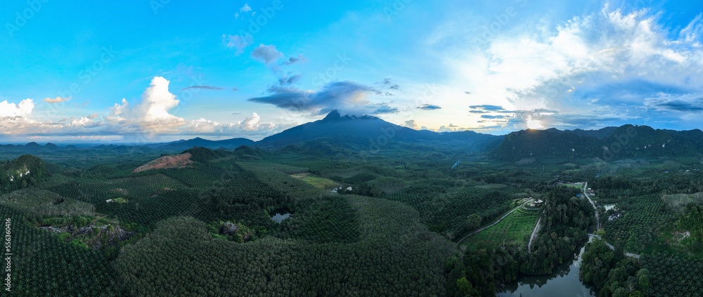 全景无人机拍摄丰富的雨林景观自然山脉景观