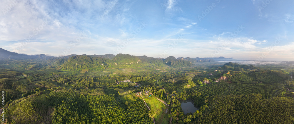 全景无人机拍摄丰富的雨林景观自然山景