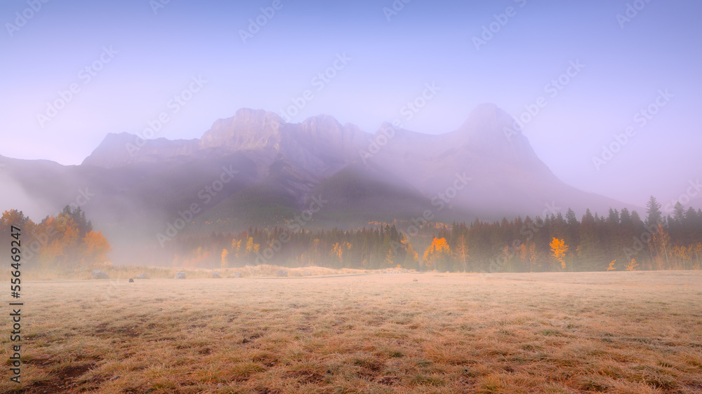 黎明时的山景。山谷中的雾。黎明时山谷中的田野和森林。自然