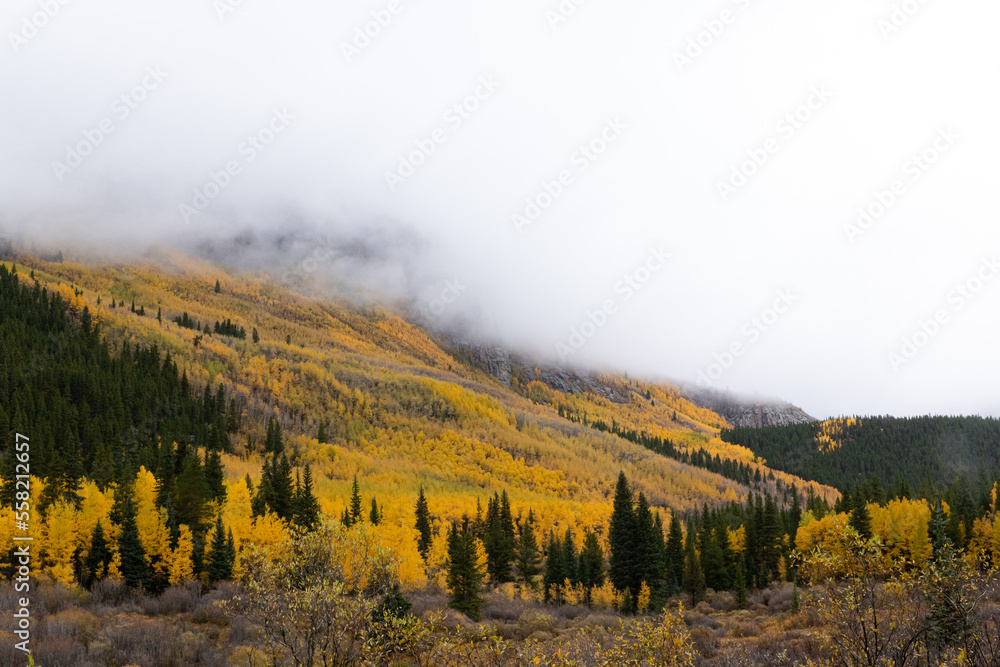 山峰上覆盖着云朵和黄色的白杨。