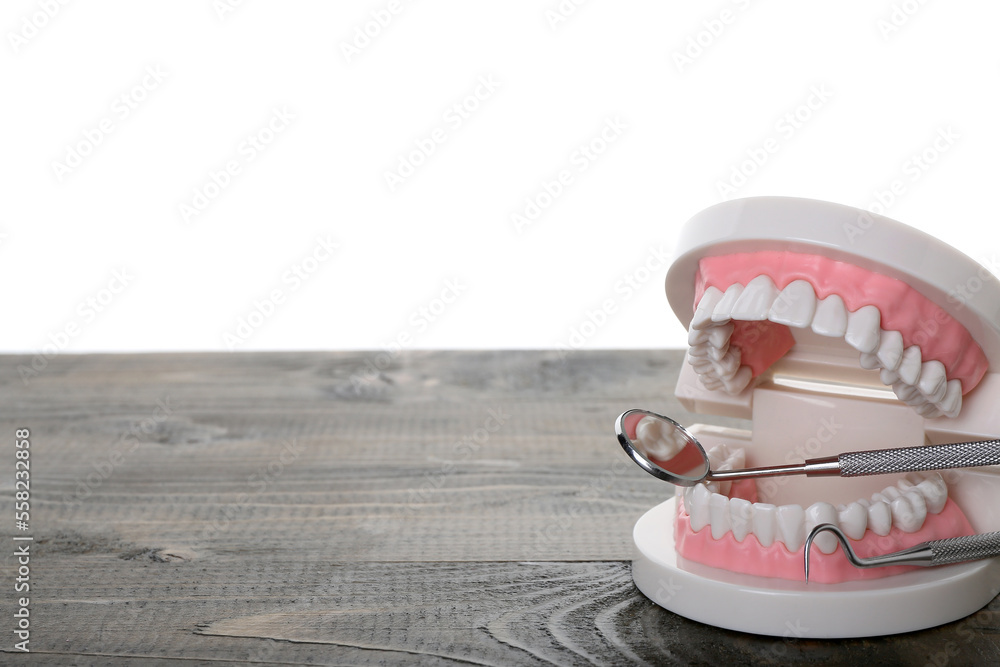 白色背景下深色木桌上的带牙科工具的钳口模型