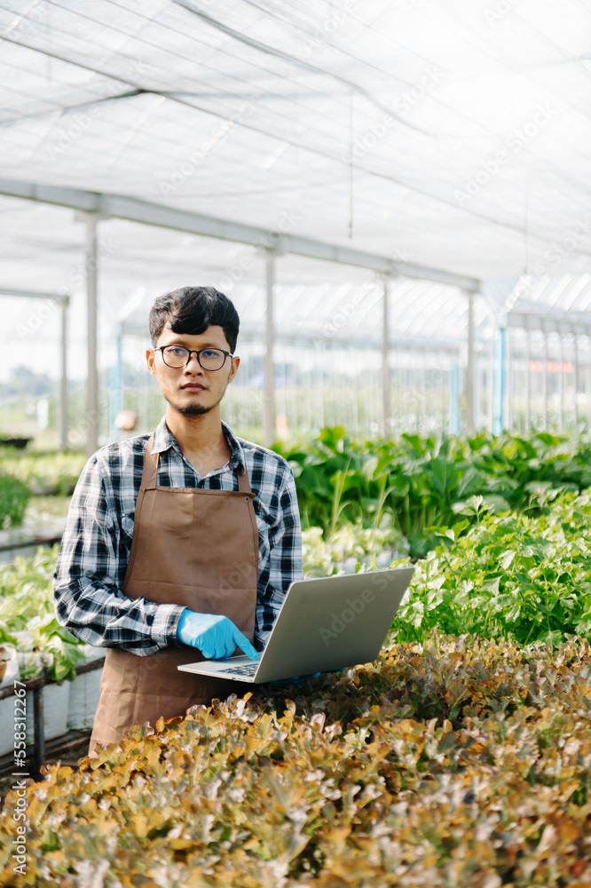 亚洲农民在温室种植园中使用手持笔记本电脑和有机蔬菜进行水培。F